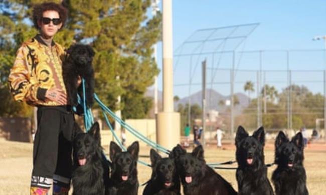 Augusto Deoliveira holding the leashes of multiple dogs