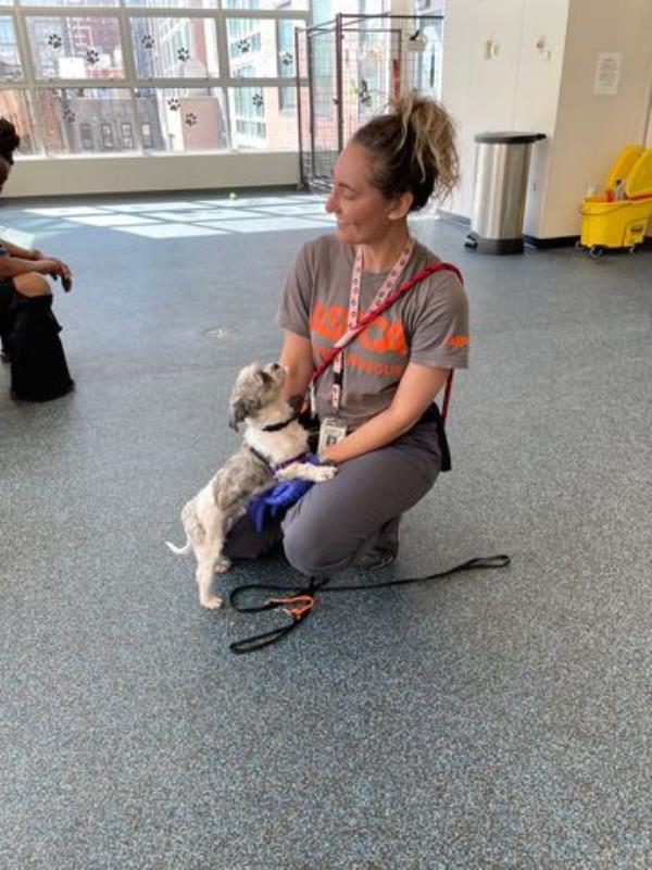 One of the rescued animals with an ASPCA member.