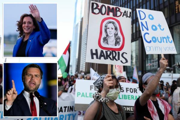 People take part in a protest, holding signs as they march, organised by pro-abortion rights, pro-LGBT rights and pro-Palestinian activists, on the eve of the Democratic Natio<em></em>nal Co<em></em>nvention (DNC), in Chicago, Illinois.