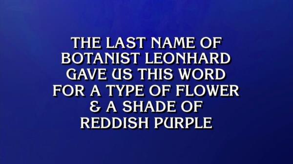 A Jeopardy cue card. 