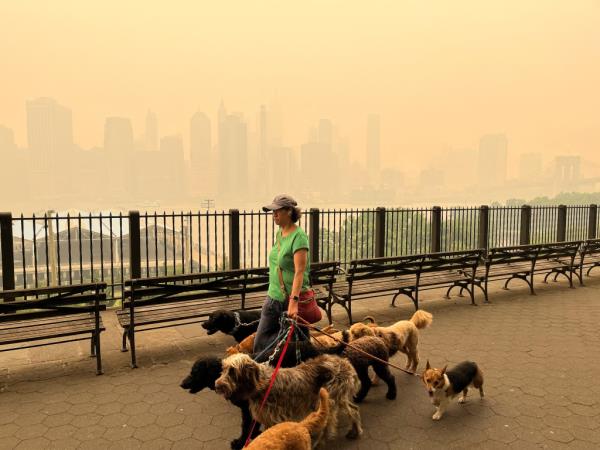 A person walks dogs along the Brooklyn promenade Wednesday as the Manhattan skyline is shrouded in haze after smoke drifted south from wildfires in Canada.