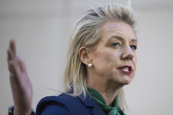 Senator Bridget McKenzie slammed the government’s progress on the project.